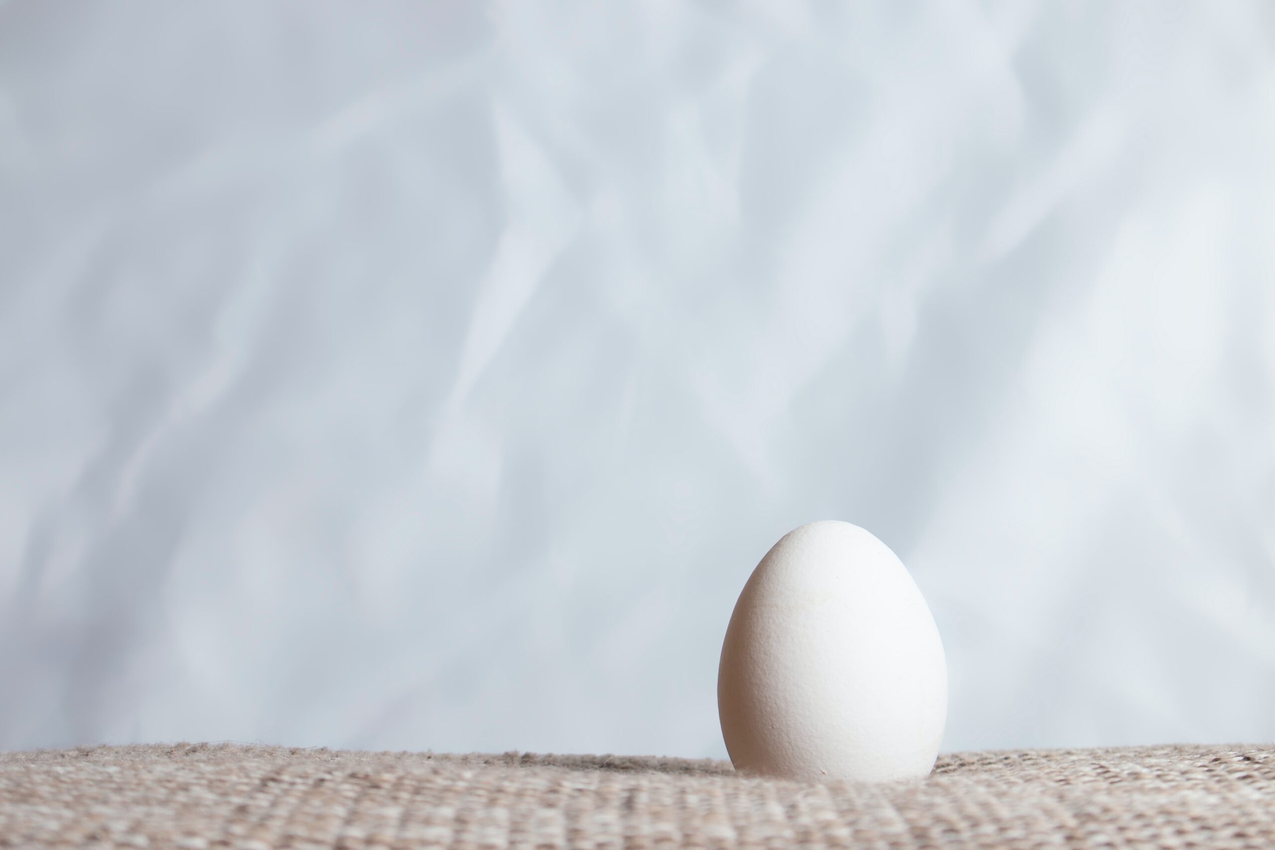 【卵の役割とは？】　パン作りの副材料　卵編　その１